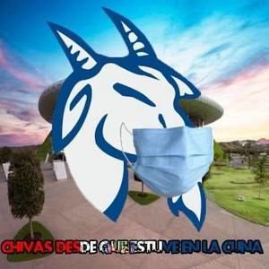 Meet your Posher, Armando